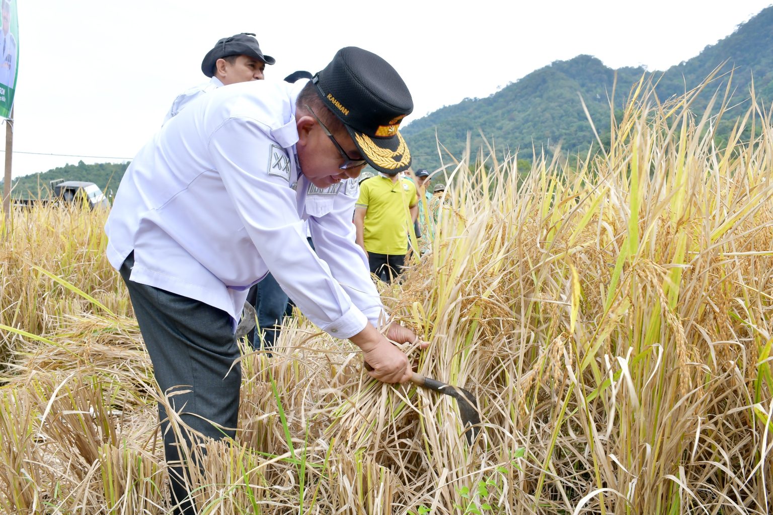 1000053685-1536x1024