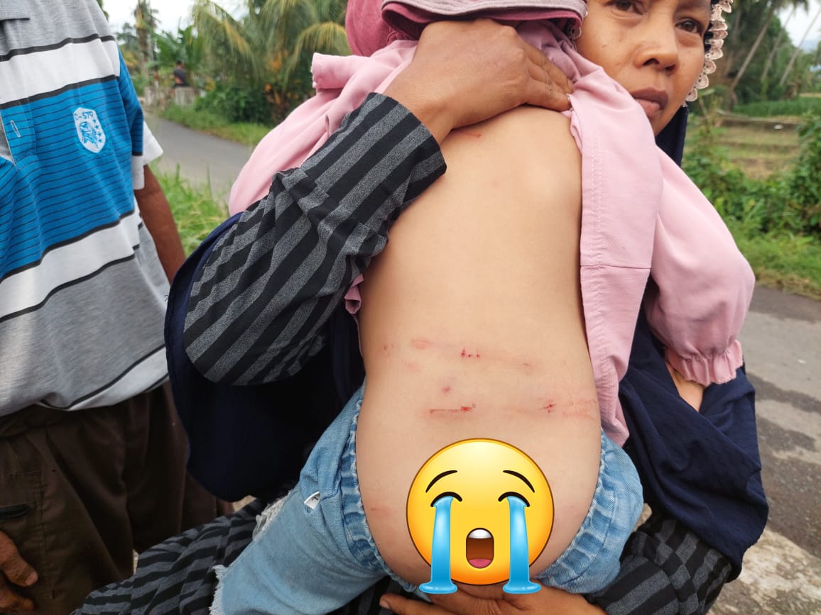 60bb53b8-2a69-4fb5-a748-0b1c7571b55b