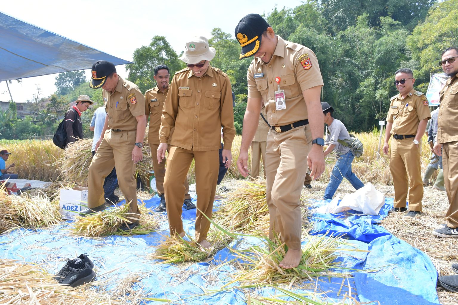 IMG-20251027-WA0035-1536x1024