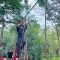 IMG-20260831-WA0002