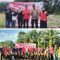 Oplus_16908288